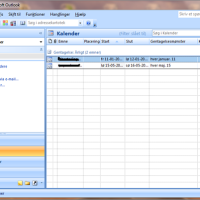 Microsoft Outlook kalender visning